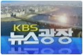kbs 뉴스광장 (2010년 9월 6일)